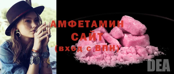 гидра Бронницы