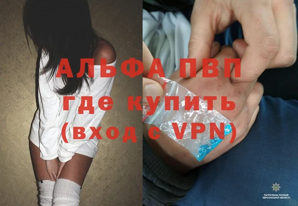 гидра Бронницы