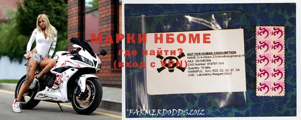 гидра Бронницы
