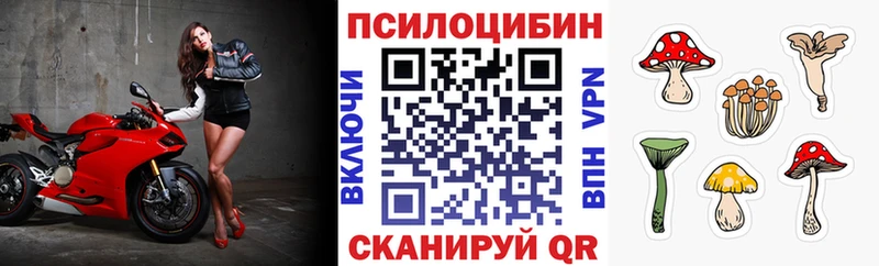 Псилоцибиновые грибы Psilocybe  Афипский 